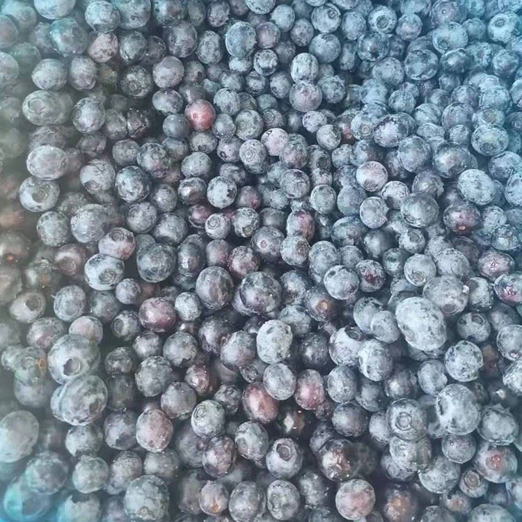 frozen wild blueberries