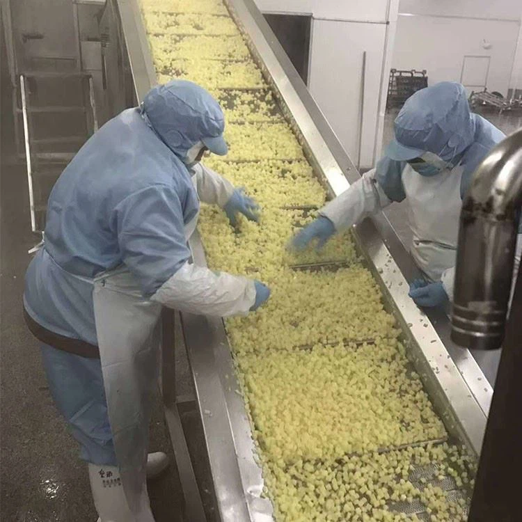 freezing french fries