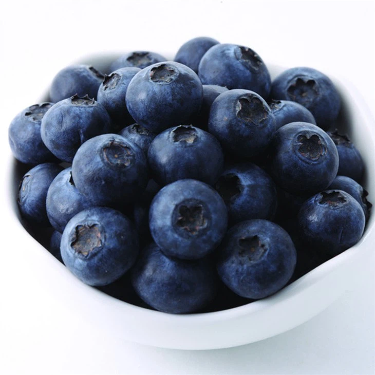 Afine cultivate congelate