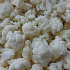 Conopida De Congelat