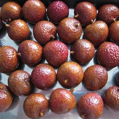 IQF Lychee