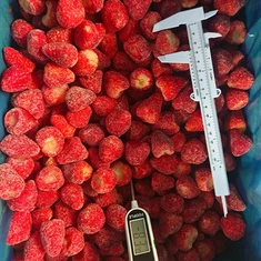 Căpșuni congelate în vrac