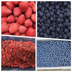 Căpșuni coreene congelate