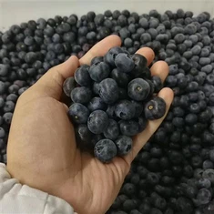 Livezi cu afine congelate din aur